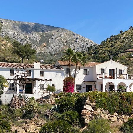 Cortijo Las Palmeras El Chorro Alora Esterno foto