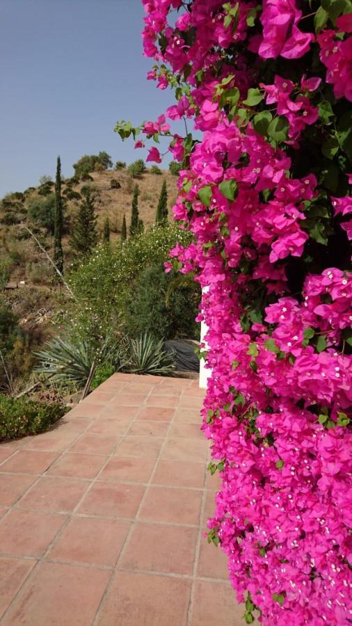 Cortijo Las Palmeras El Chorro Alora Esterno foto